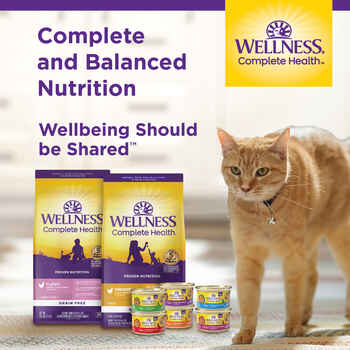 Wellness Complete Health Natural Grain Free Turkey & Salmon Entree Pate Wet Cat Food - 3 oz Cans - Case of 24