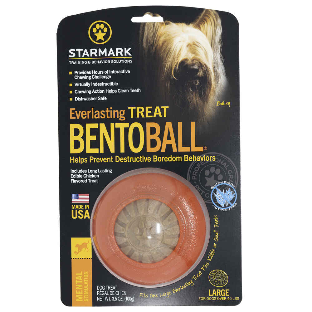 Starmark Everlasting Fun Ball - Large