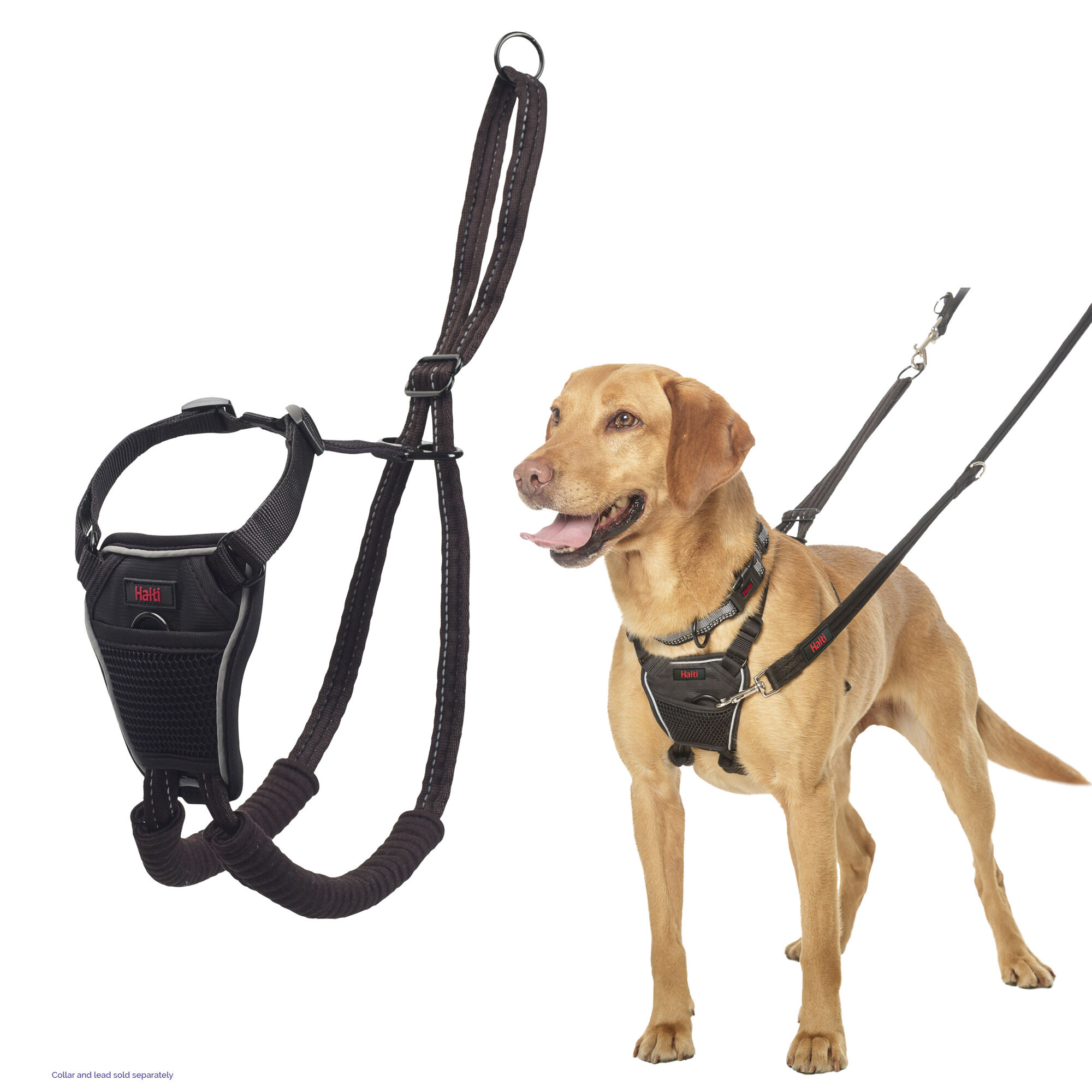 Vizsla no 2024 pull harness