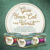 Fancy Feast Medleys Tender Turkey Tuscany Wet Cat Food 3 oz. Cans - Case of 24