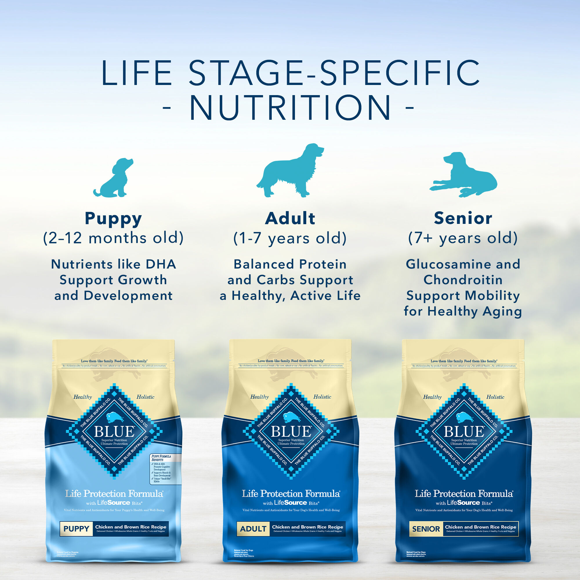 Blue Buffalo Life Protection Formula Adult Chicken Brown Rice