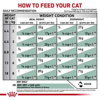 Royal Canin Veterinary Diet Feline Glycobalance Dry Cat Food - 4.4 lb Bag
