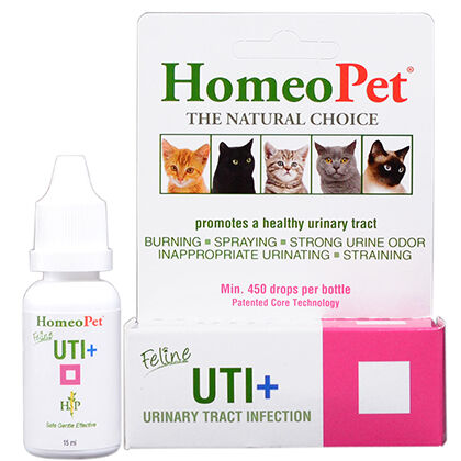 Homeopet feline 2025 uti+ cat supplement