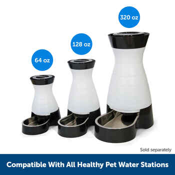 PetSafe Healthy Pet Water Station Carbon Replacement Filters - 2 Pack