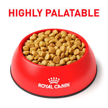 Royal Canin Veterinary Diet Canine Ultamino Dry Dog Food - 8.8 lb Bag