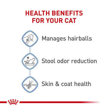 Royal Canin Feline Health Nutrition Indoor Long Hair Adult Dry Cat Food - 6 lb Bag