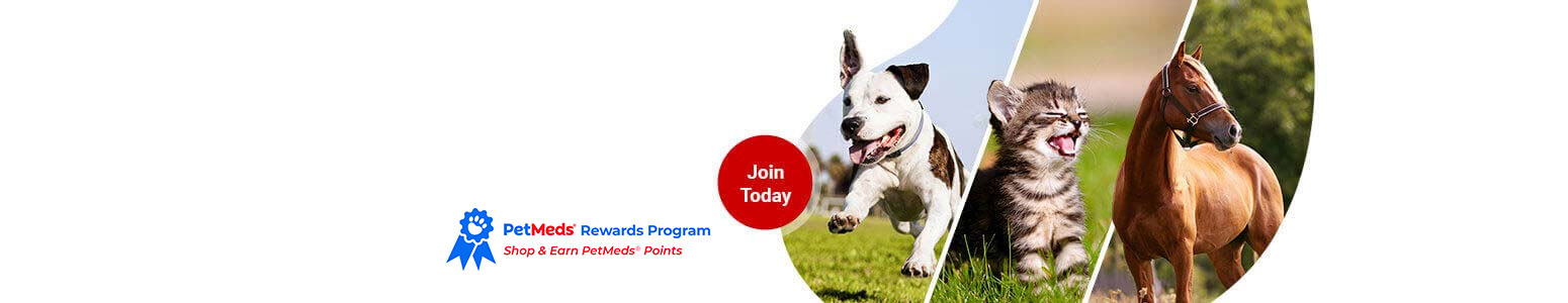 1 800 Petmeds America S Trusted Pet Pharmacy