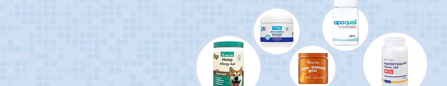 Help Reduce Allergies with 20% OFF