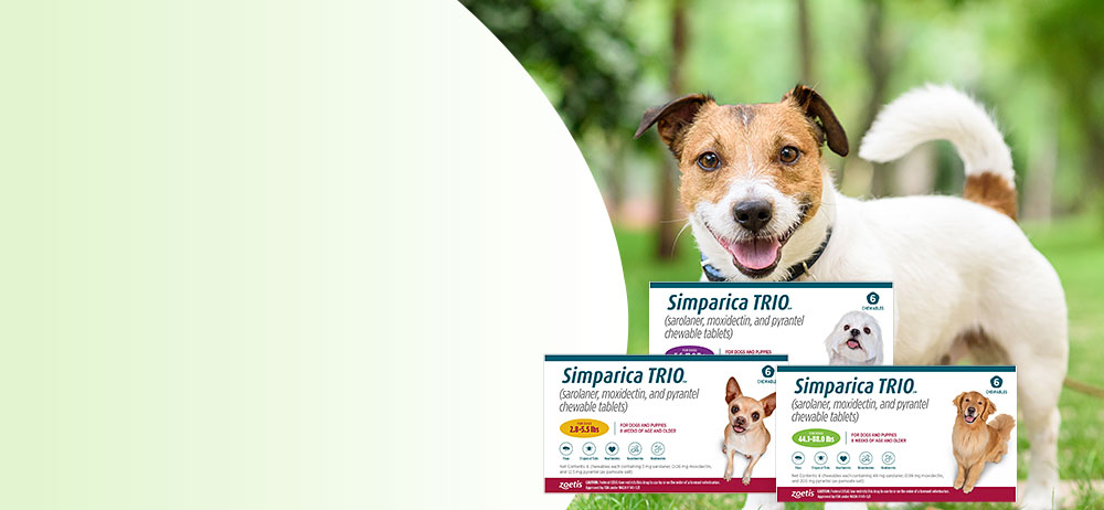 Up to 60% OFF Simparica Trio