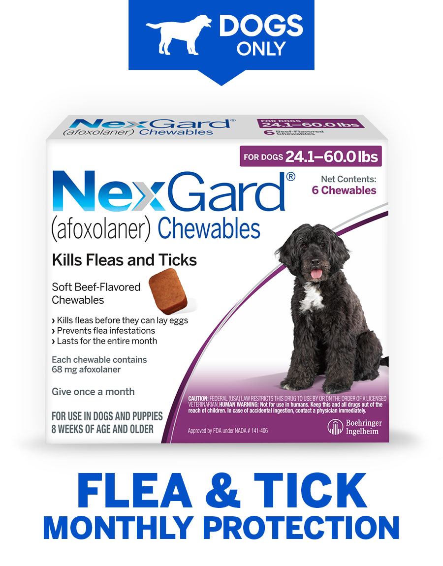 FLEA & TICK MONTHLY PROTECTION