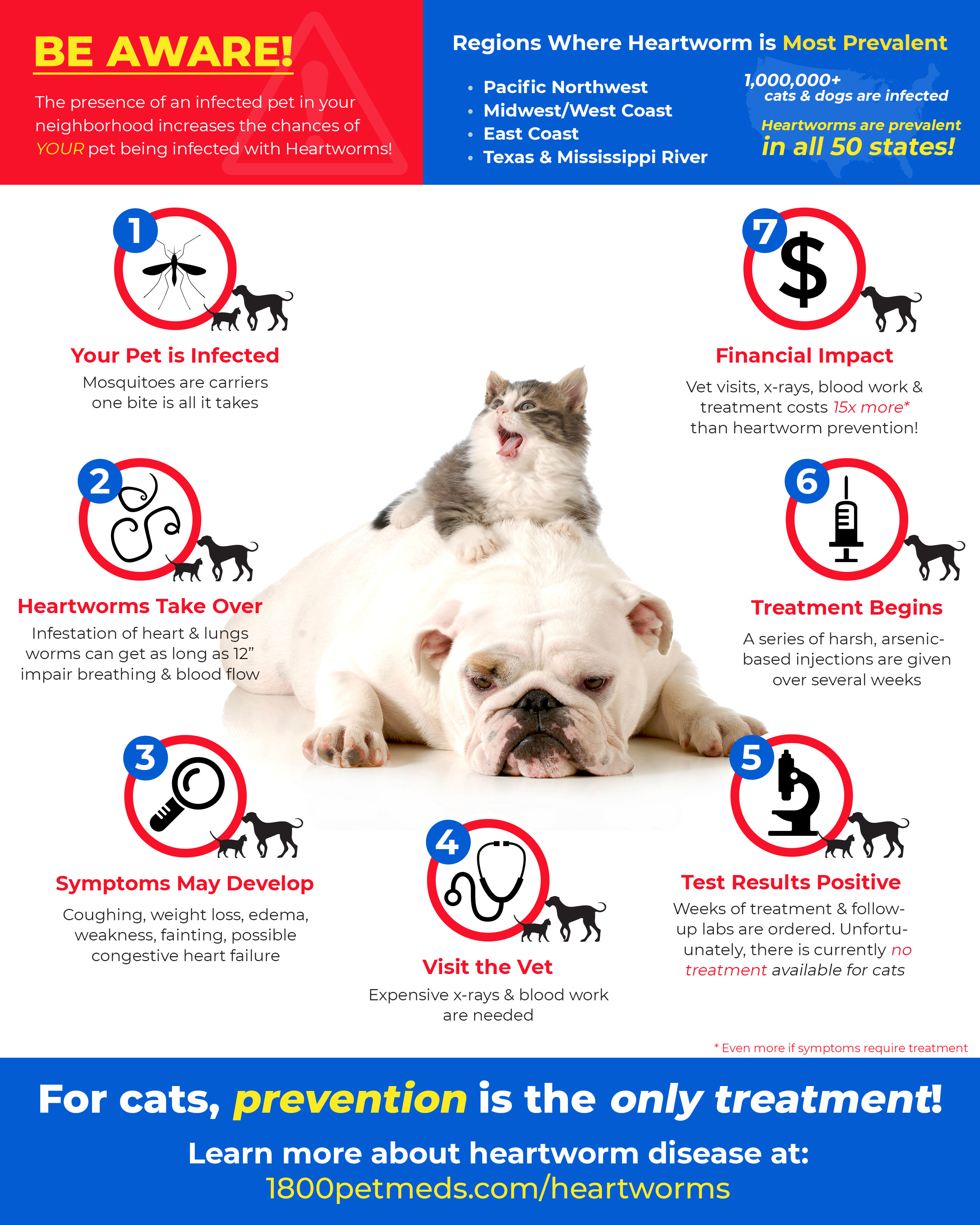 heartworm medication necessary