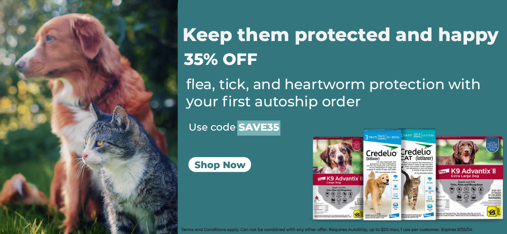 Prevent Pests This Summer!