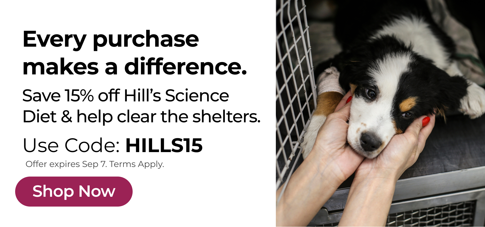 Save 15% & help shelter pets