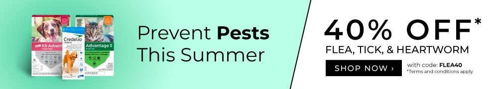 Prevent Pests This Summer