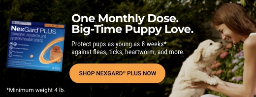 Introducing NexGard PLUS XS - Shop Now