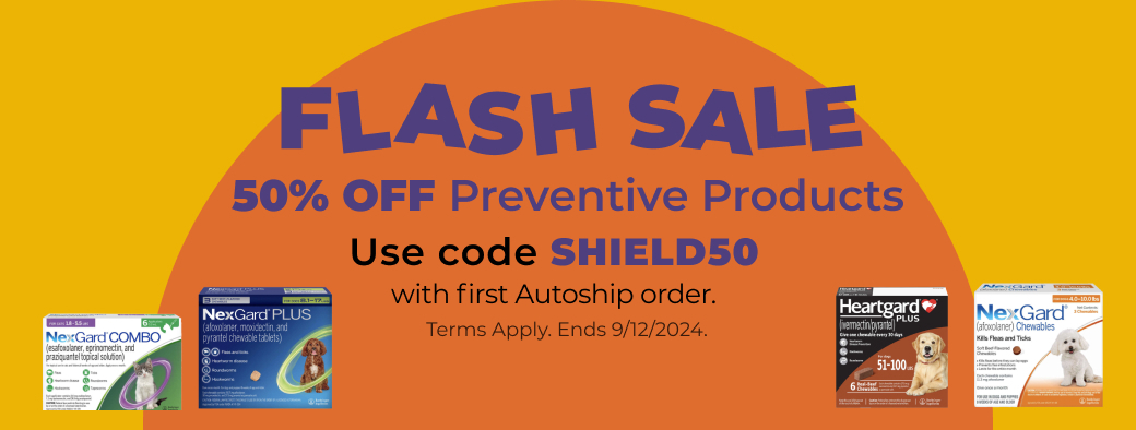 Flash Sale