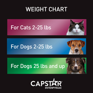 Capstar For Cats Dogs Flea Pill For Pets Medi Vet Flea Control For Dogs Flea Treatment Frontline Plus For Cats