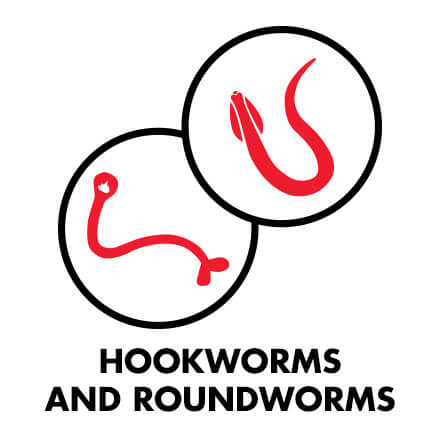 HOOKWORMS AND ROUNDWORMS