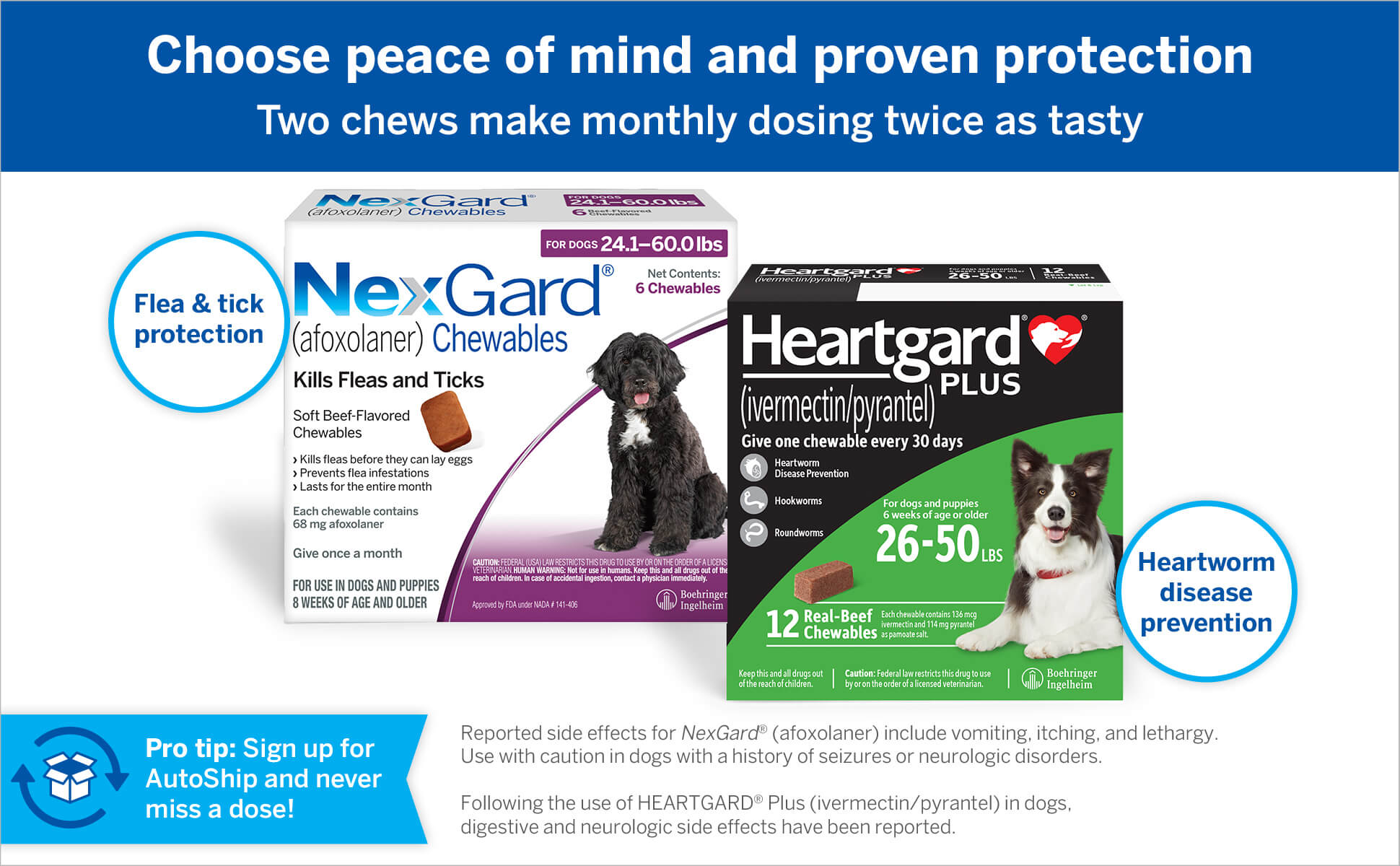 Choose peace of mind and proven protection