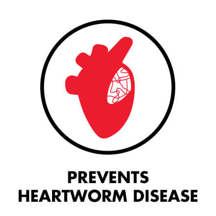 PREVENTS HEARTWORM DISEASE