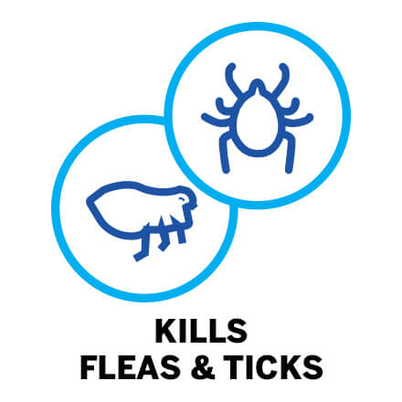 KILLS FLEA & TICKS