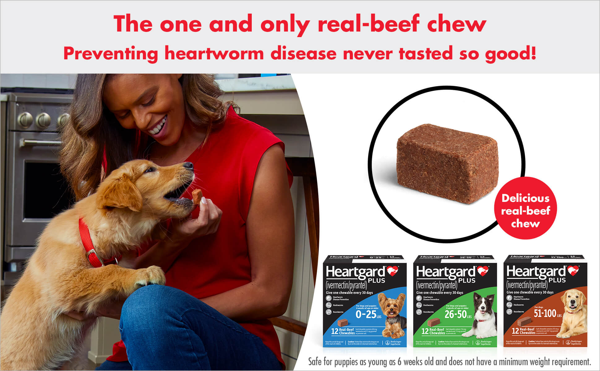 The one and only real-beef chew