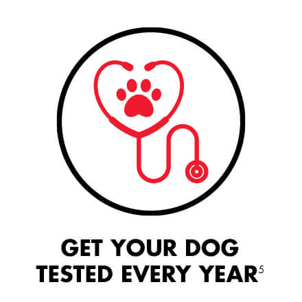 GET YOUR DOG TESTED EVERY YEAR