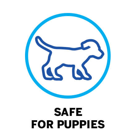 SAFE FOR PUPPIES