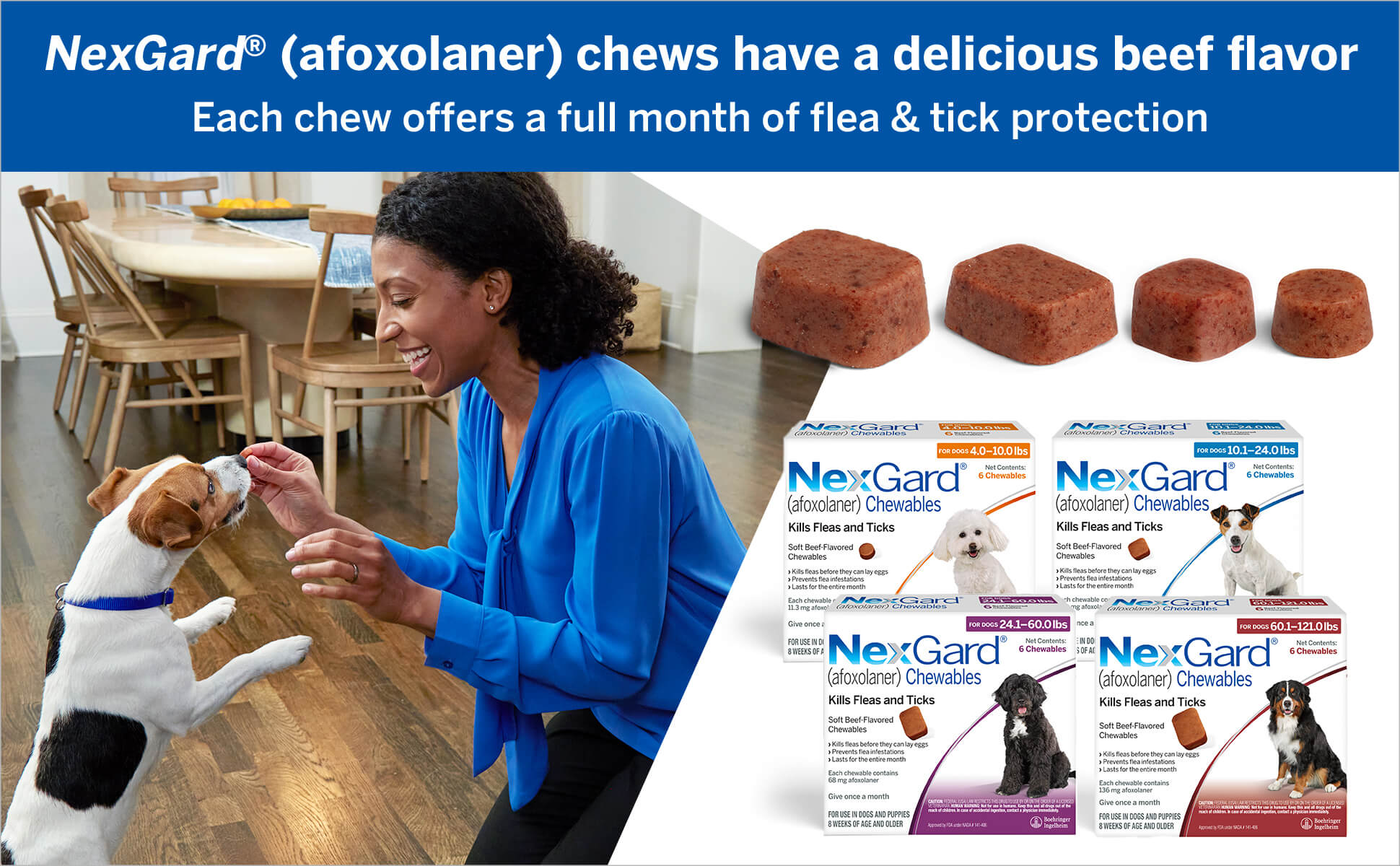 NexGard® (afoxolaner) chews have a delicious beef flavor