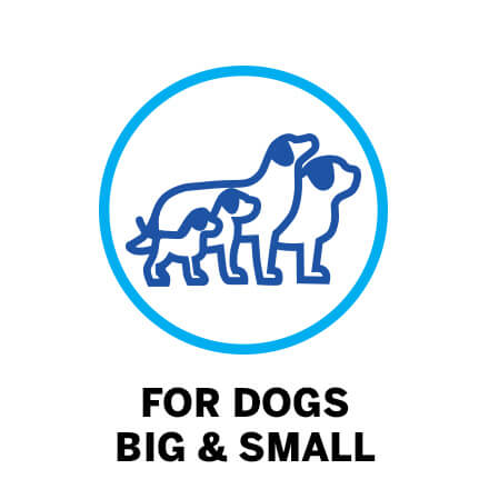 FOR DOGS BIG & SMALL